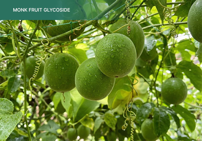 Monk-fruit-glycoside